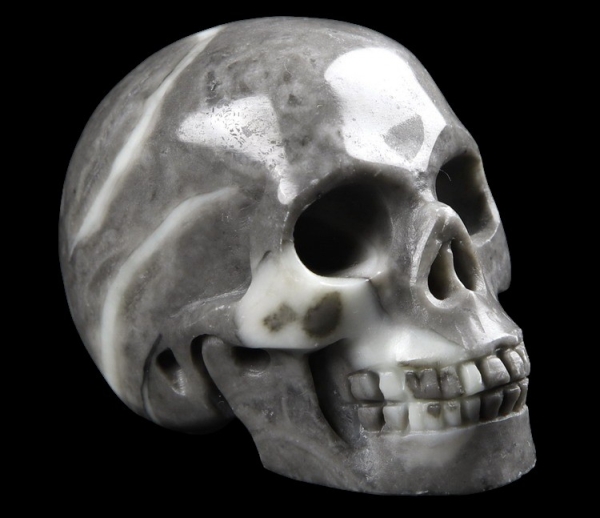 Fossil Stone Skull